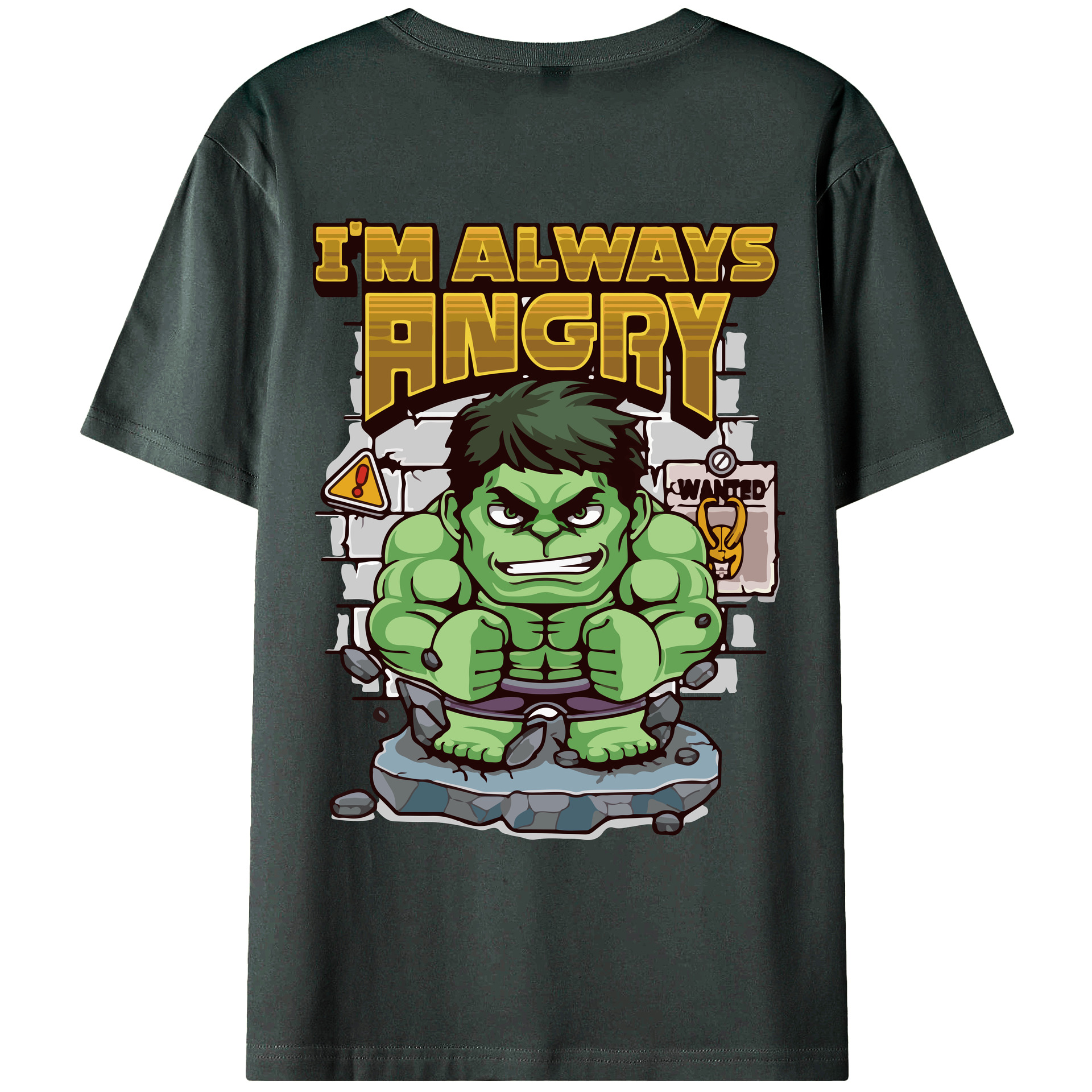 （画像用） アベンジャーズ The Avengers 綿100％ メンズ半袖Tシャツ（バックプリント） 通気性
